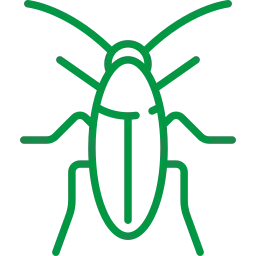 cockroach