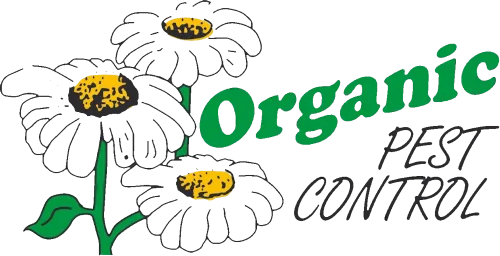 logo_500x256